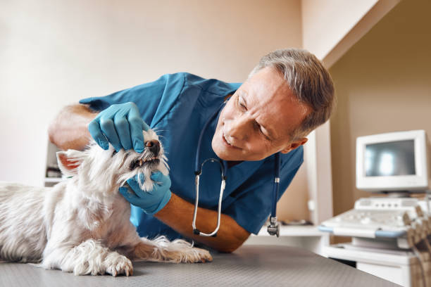 Best Emergency Root Canal Treatment in Lyman, MS